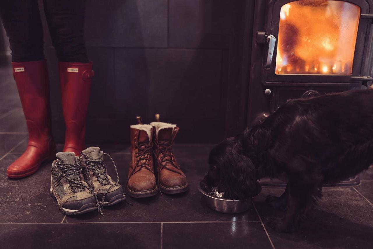 长岛酒店及别墅 康福斯 外观 照片 A dog in front of a wood burning stove